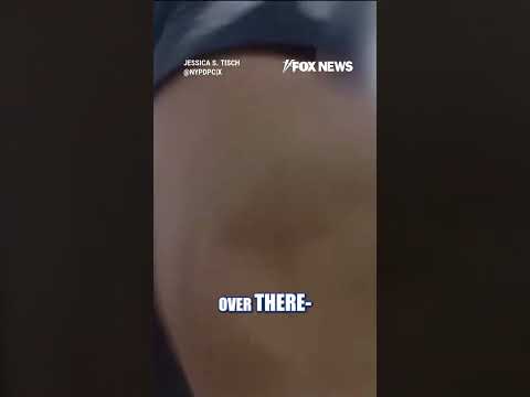 NYPD releases body cam footage of Empire State Building climbers’ arrest #shorts #us #foxnews