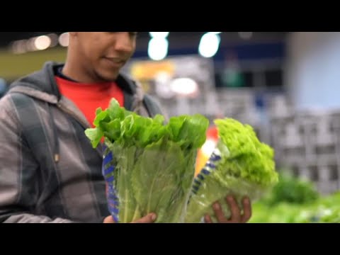 FDA says lettuce still likely source of cyclospora outbreak despite false positive test