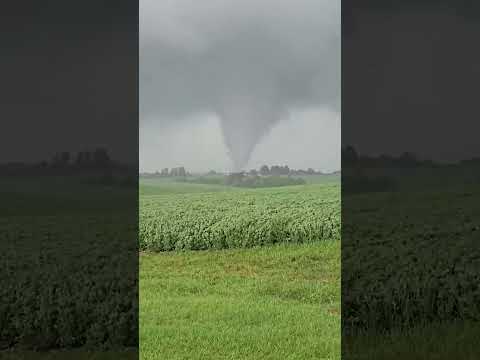 Tornado Tears Through Kentucky Leaving Trail of Destruction #shorts