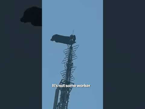 NYPD helicopter pilot reacts after couple scales Empire State Building #shorts