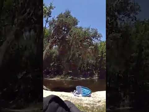 New Bodycam Shows Florida Deputy Try to Save Woman Suffering from Gator Attack #shorts