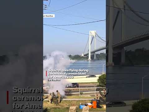 Squirrel goes flying during cannon blast for America 250, but sticks impressive landing #shorts