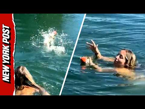 Hilarious Moment Fish Joins Dog’s Game of Fetch