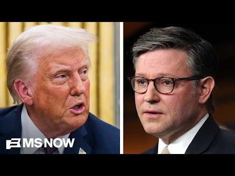 Why Trump pushing Mike Johnson on birthright citizenship is ‘another losing hand’