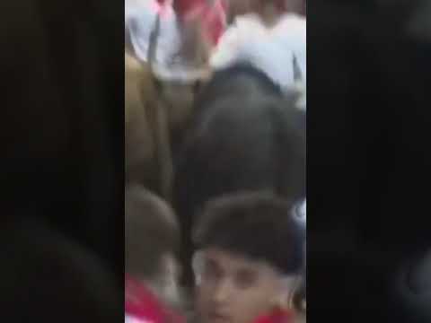 Chaos After Runners Are Trampled in Spain’s Annual Bull Run #shorts