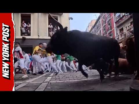 Nine Injured in San Fermin’s Fourth Running of the Bulls in Spain