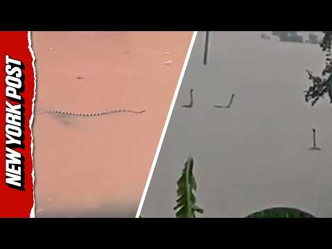 Terrified Villagers Fear Venomous Snake Invasion After Floodwaters Swamp Farm