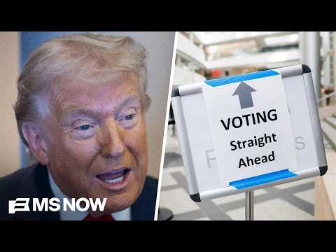 ‘They’re gone’: Trump FIRES members of independent election board