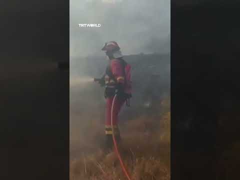 Spanish firefighters battle deadly Almeria wildfire for second day