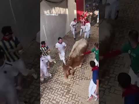 Several runners injured during Pamplona bull run