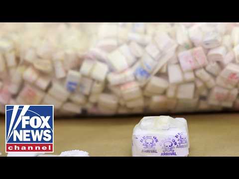 We’re working to SAVE American lives: ‘Drug czar’ Sara Carter