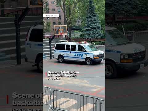 Ex-college hoops star, European pro killed in targeted attack at NYC basketball tournament #shorts