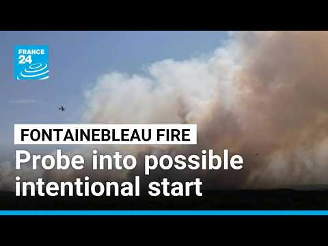 Probe into intentional start of Fontainebleau fire underway • FRANCE 24 English