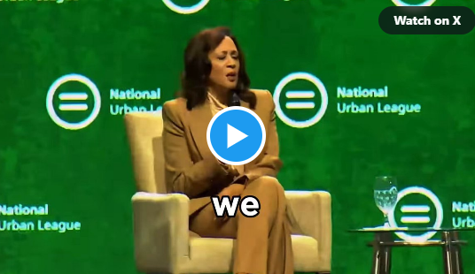 Hypocrite Alert: Kamala Harris Drops $8 Million on a Malibu Mansion in a Near-All-White Neighborhood While Eyeing Another Shot at the White House