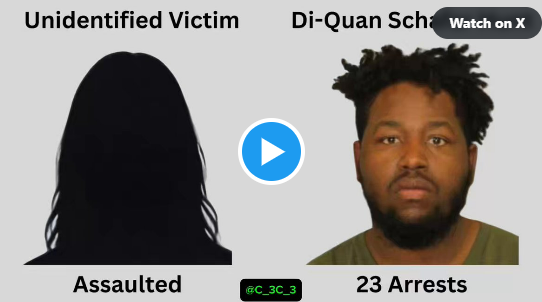 390 arrests…These criminals were released by Democrats to hunt the innocent after 390 arrests…