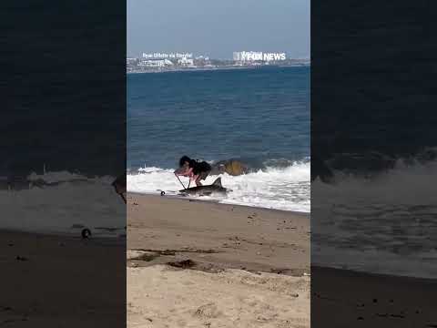 Los Angeles fisherman releases SHARK back into ocean #foxnews #news #us #fox