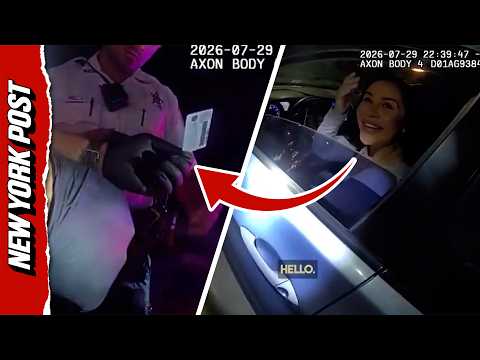 Moment Florida Cop Catches Driver With 12 Fake Licenses
