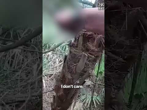 WATCH: Armed Drug Suspect Hunted Through Woods by K-9 and Chopper #shorts