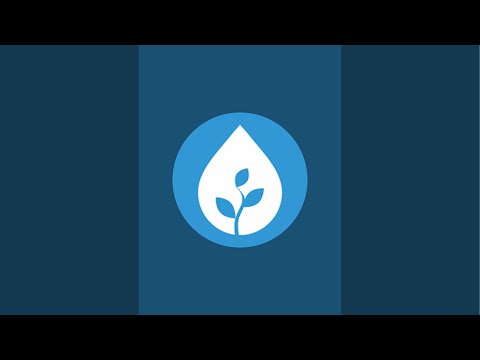 Ray and Mark are LIVE!
