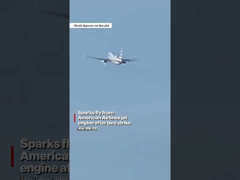 American Airlines plane makes emergency landing after flames seen shooting from engine #shorts