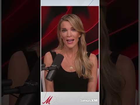 Megyn Kelly on Her MAJOR Questions About Hayden Panettiere’s Ex-Boyfriend Convicted of Abusing Her