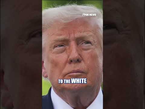 Fighter jet INTERCEPTS aircraft over Camp David during Trump visit #shorts #us #news #foxnews