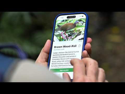 Birding Apps Bring More People Into the Wild