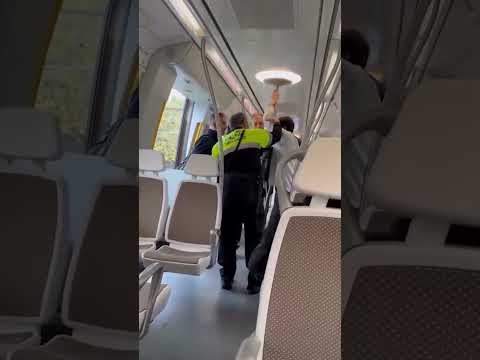Crazed Commuter Clings to Pole as Security Forces Him Off Train For Not Having a Ticket #shorts
