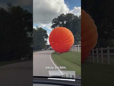 Giant Inflatable Pumpkin Breaks Loose in North Carolina #shorts