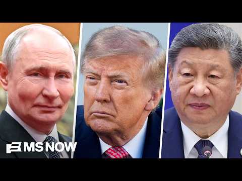 Trump thinks he, Putin and Xi are ‘mafia dons’: Natl. security expert