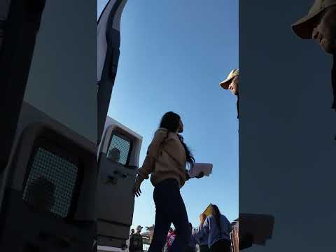 ICE Deports Multiple Illegal Migrants to Mexico in Latest Removal Operation #shorts
