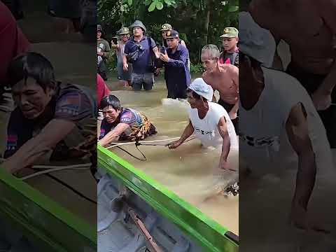 Wild Moment 220-Lb Crocodile Wrestled From Floodwaters In Cambodia #shorts